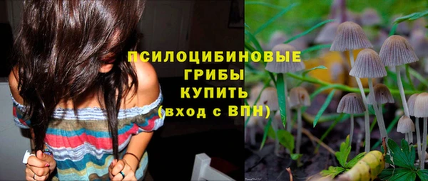каннабис Баксан