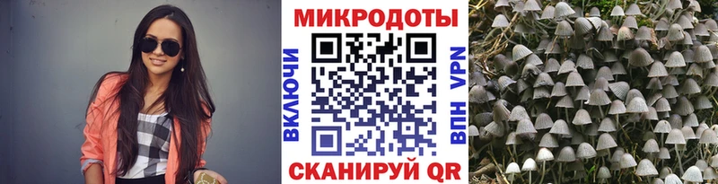 Галлюциногенные грибы мицелий  где продают   Болохово 